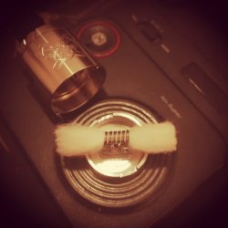 dead rabbit solo.jpg