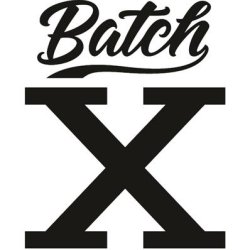 5eb3d8ff60483b6a587d1220_batch x logo.jpg