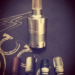 Caiman V5.jpg