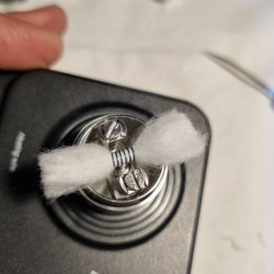 20230615_161437.jpg
