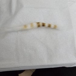 20240124_205319.jpg