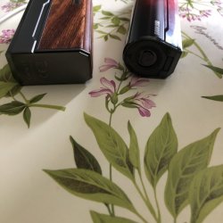 IMG_0134.jpeg
