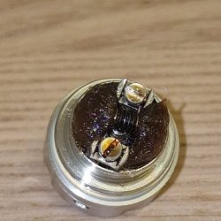 20240827_141312.jpg