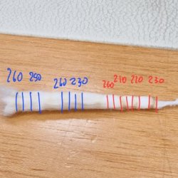 20240829_110224.jpg