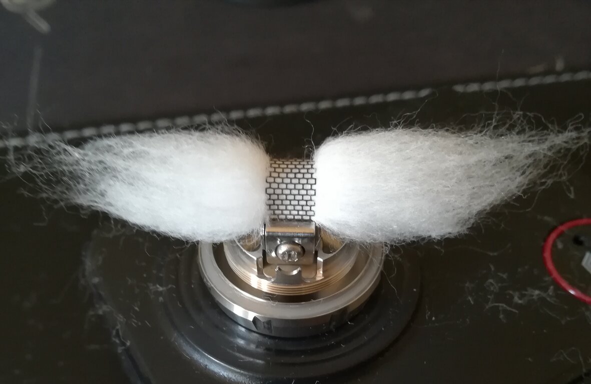 cotone 8.jpg