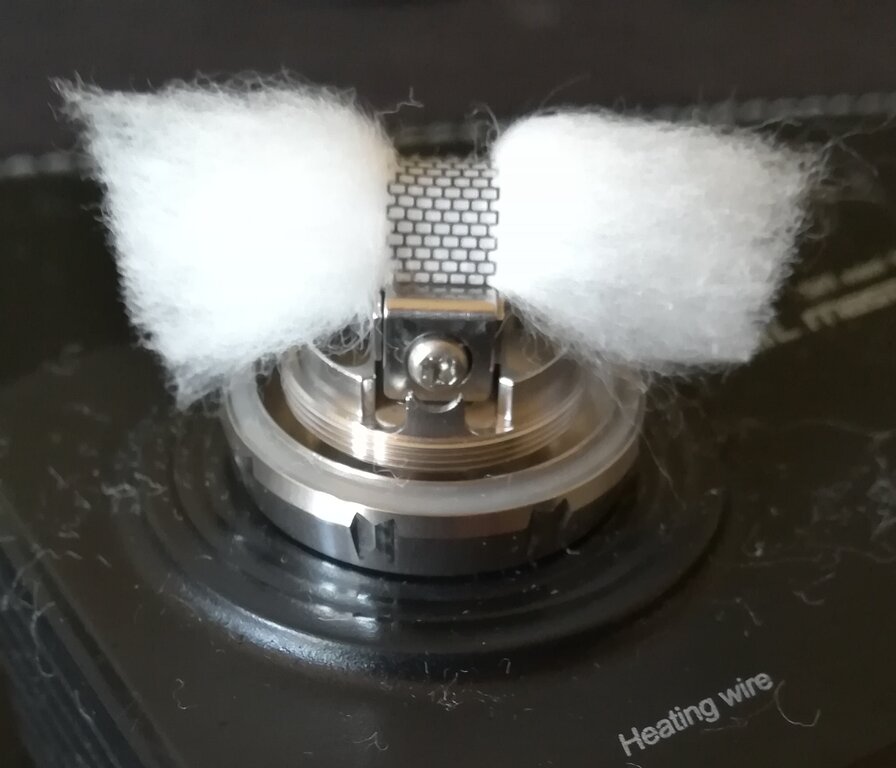 cotone 9.jpg