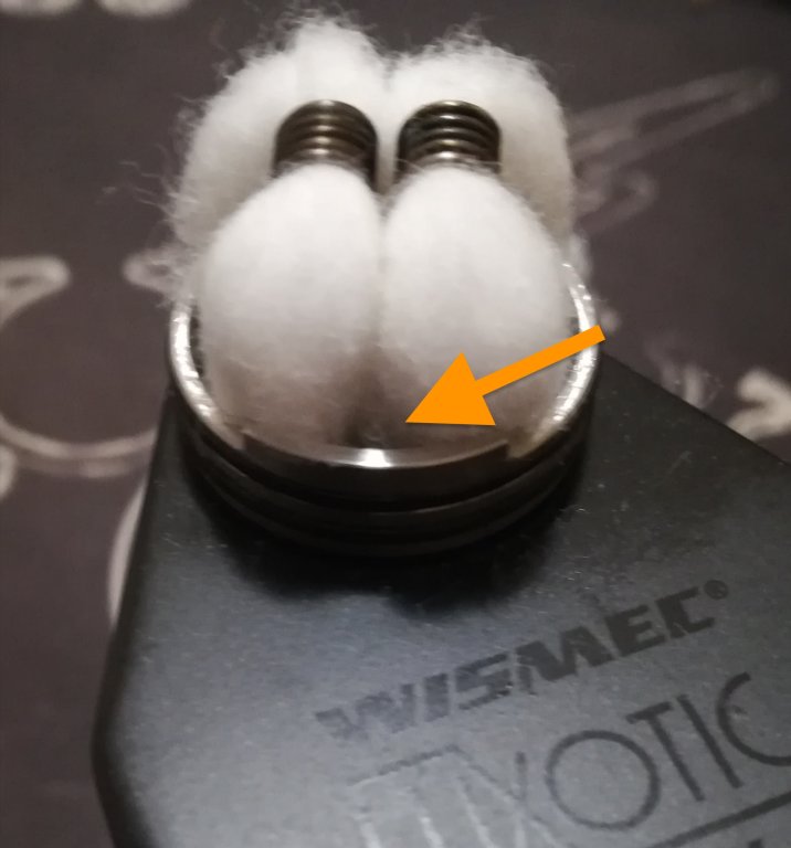 dead rabbit cotone.jpg
