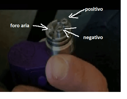 Immagine.png