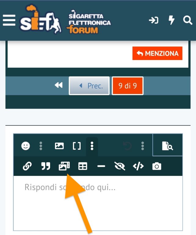 ins immagine sef 2.jpg