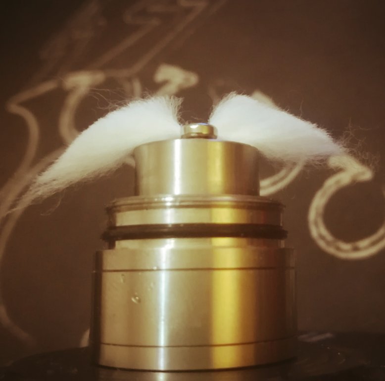 rigenerazione 4C clone.jpg